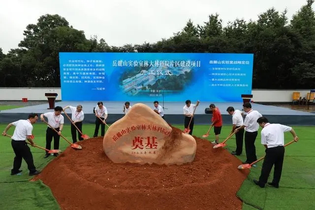 破解“種子遺傳密碼” 岳麓山實(shí)驗(yàn)室為民族種業(yè)鍛造“湖南芯”