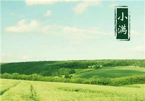 【節氣】今天，小滿撞上“520”！小得盈滿，守望幸福