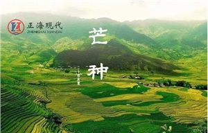 【節氣】今日芒種 ，一個生猛的節氣到了！保重身體別生??！