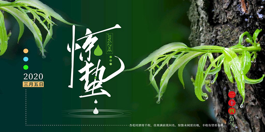 【節氣】今日驚蟄，我們定將戰勝疫情，走向春天